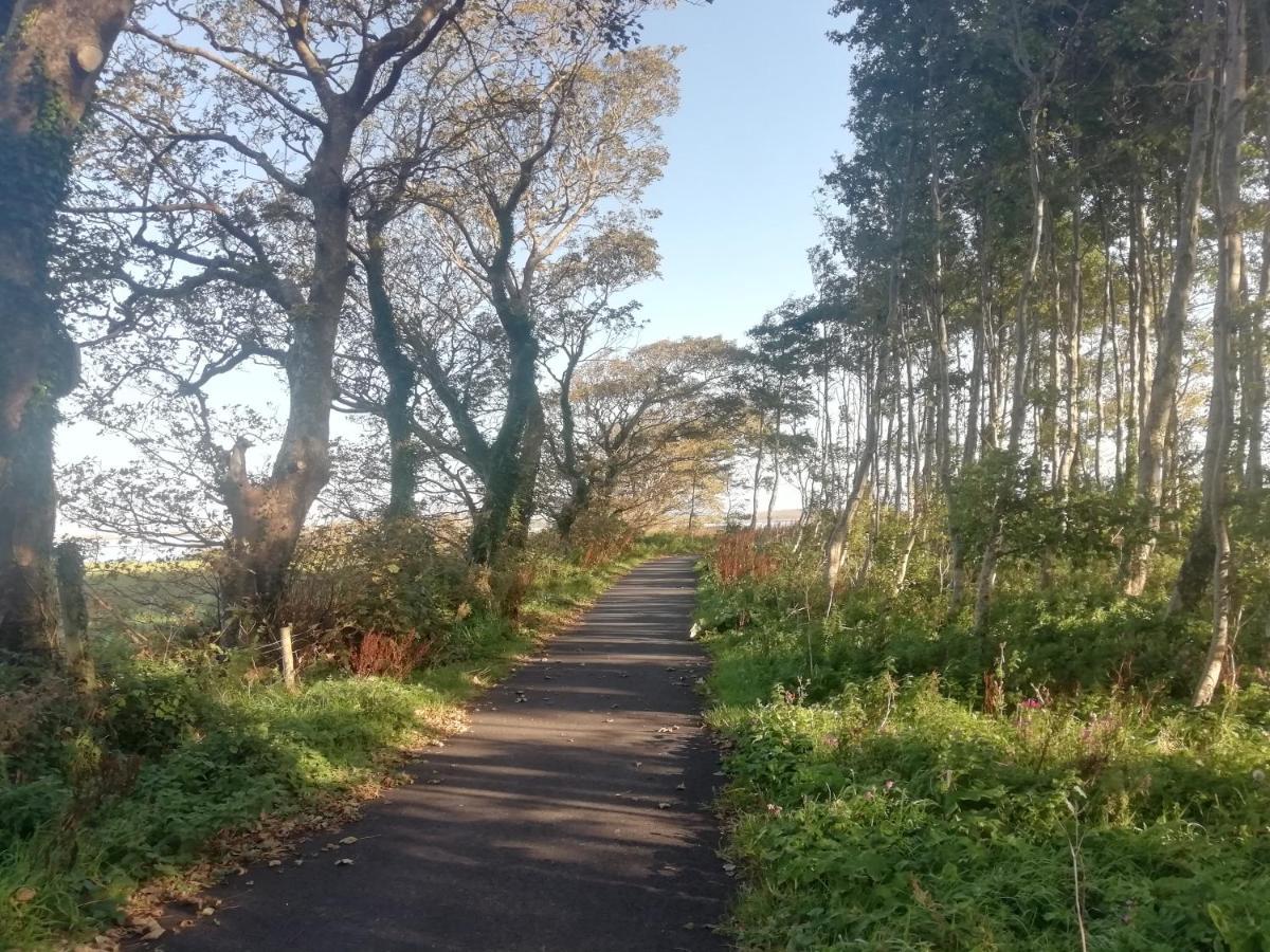 Pier Road Cottage, Croagh Patrick Appartement Westport
