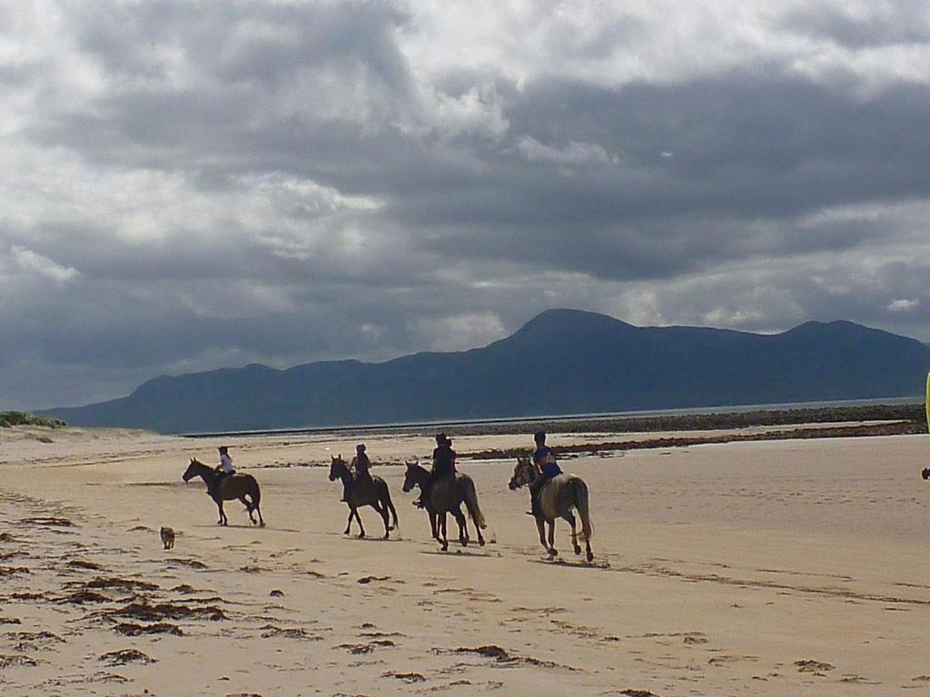 Pier Road Cottage, Croagh Patrick Appartement