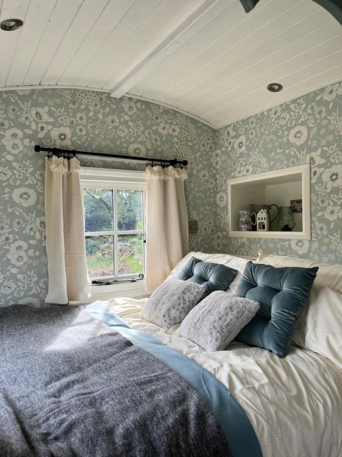 The Hazel Hut Lodge Westport