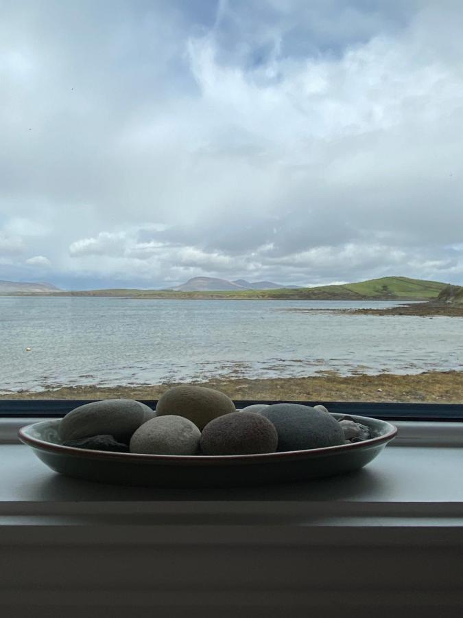 Seapoint House Bed & Breakfast 4*