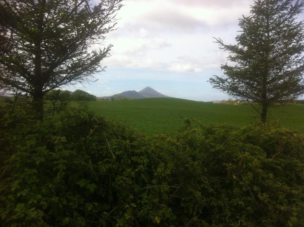 Aillmore Bed And Breakfast 3*