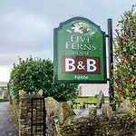 Five Ferns House