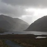Brooklodge Bed And Breakfast