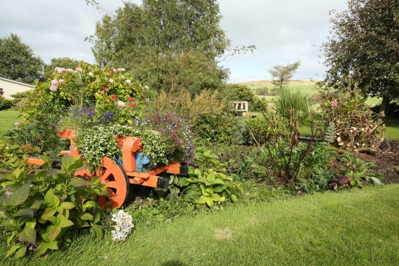 Bed & Breakfast Moher House