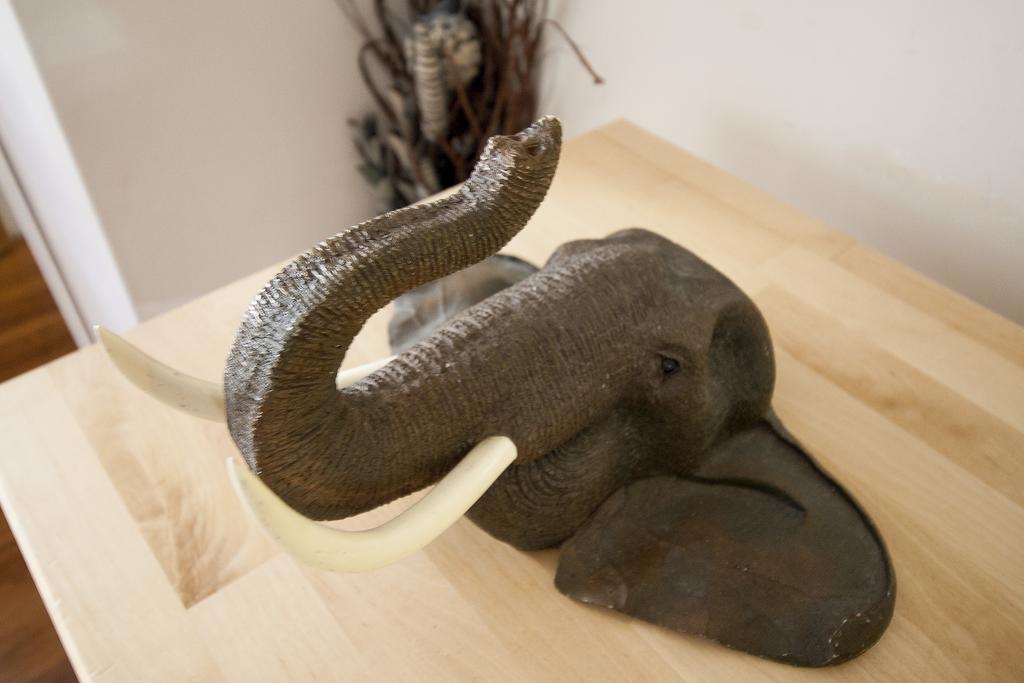 Elephant Guest house