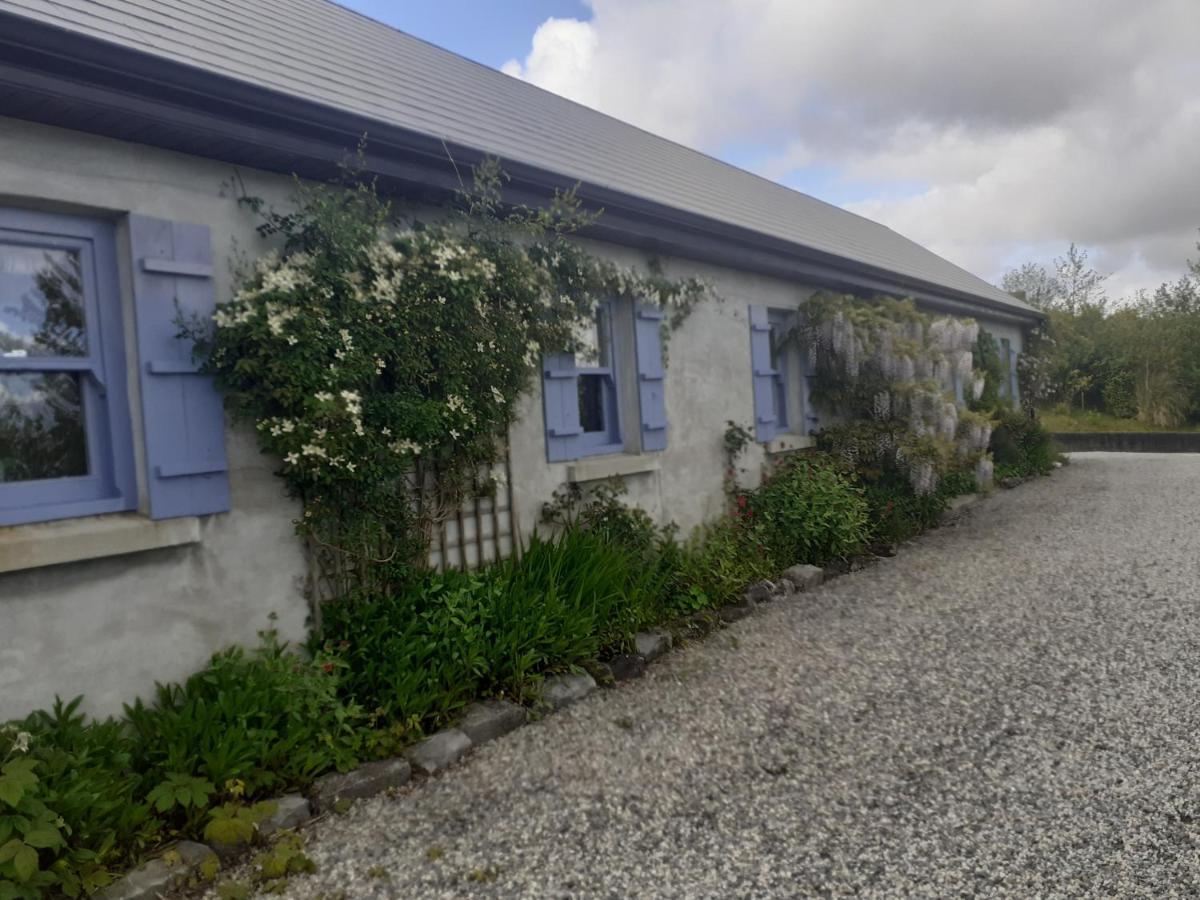 Escape To The Country * Westport