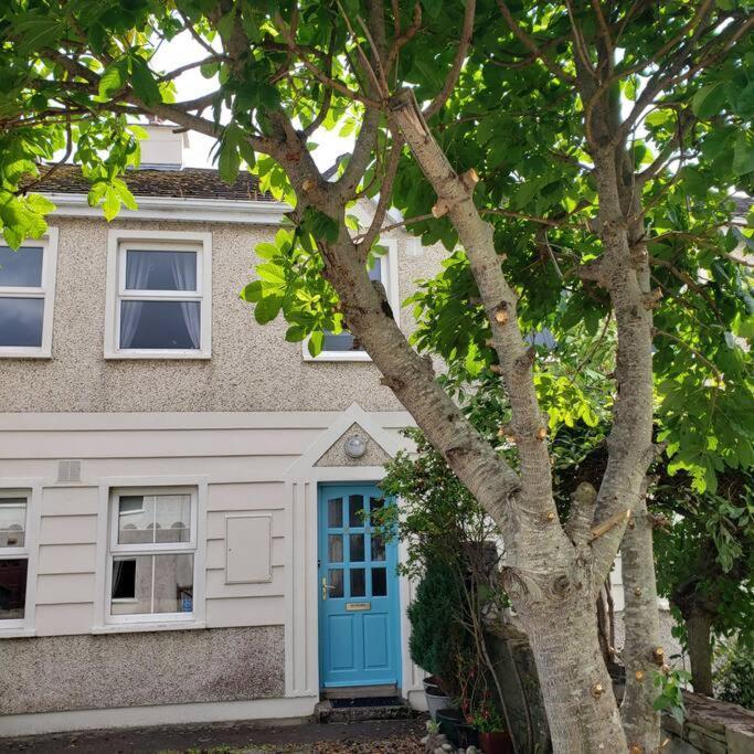 Modern House, Town Westport