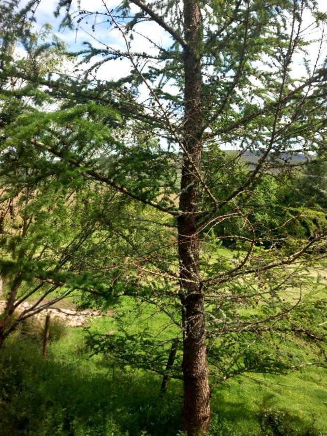 Eagle's Nest Connemara And Mayo Westport