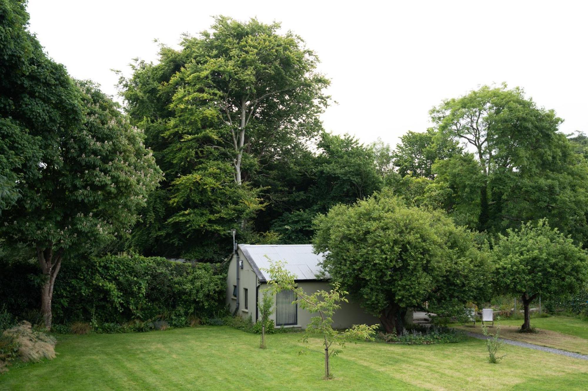 The Roost * Westport
