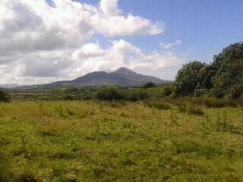 Nephin Bed & Breakfast Westport