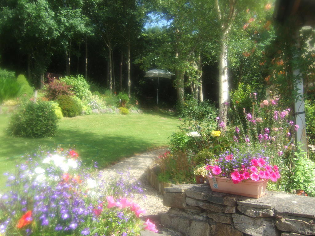 Bed & Breakfast Elderberry