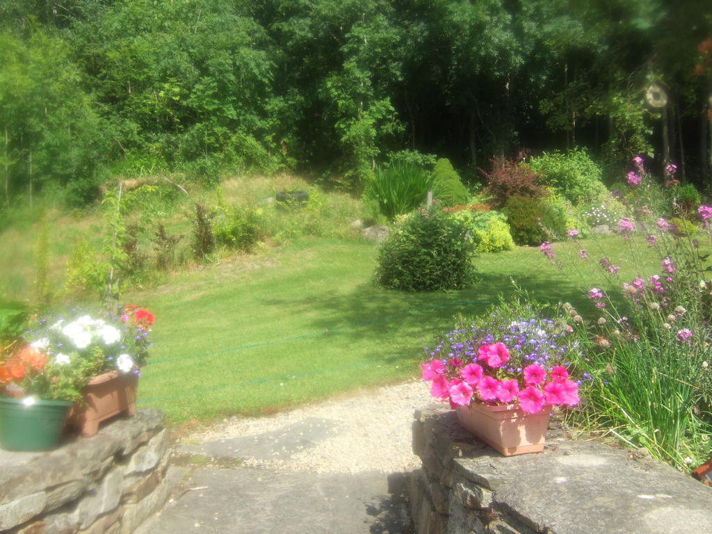 Bed & Breakfast Elderberry 3*