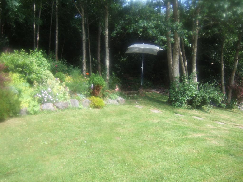 Bed & Breakfast Elderberry Westport