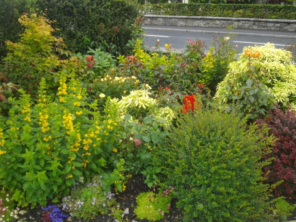 Quay West Ireland Bed & Breakfast 3*