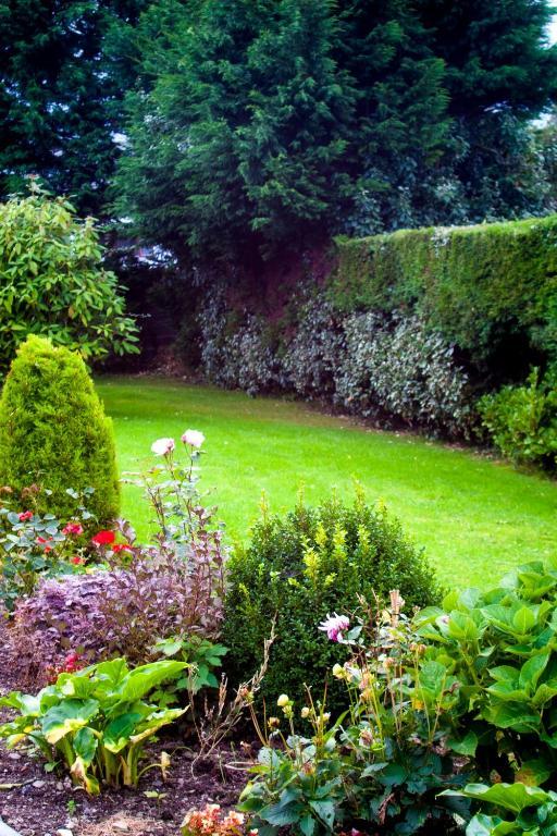 Bed & Breakfast Broadlands Westport