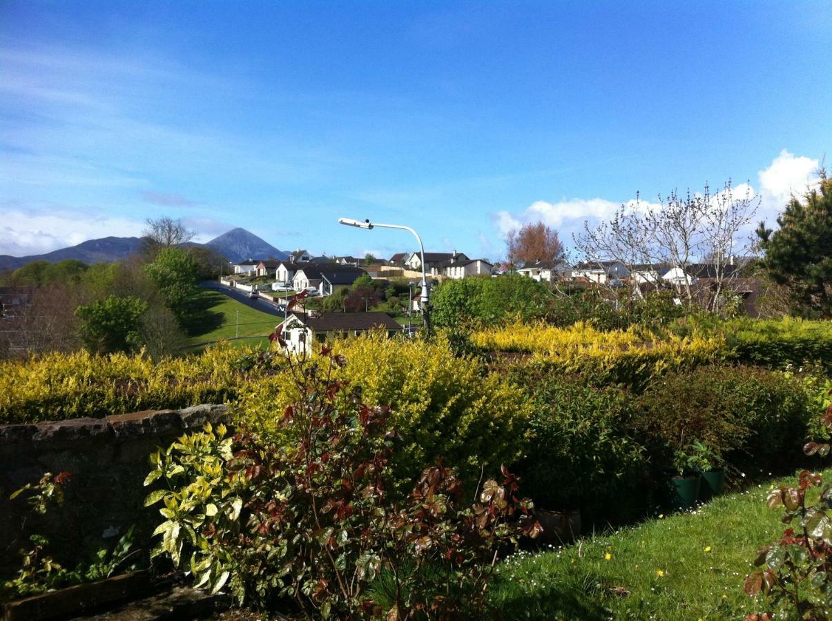 Rise And Shine Vegetarian Westport