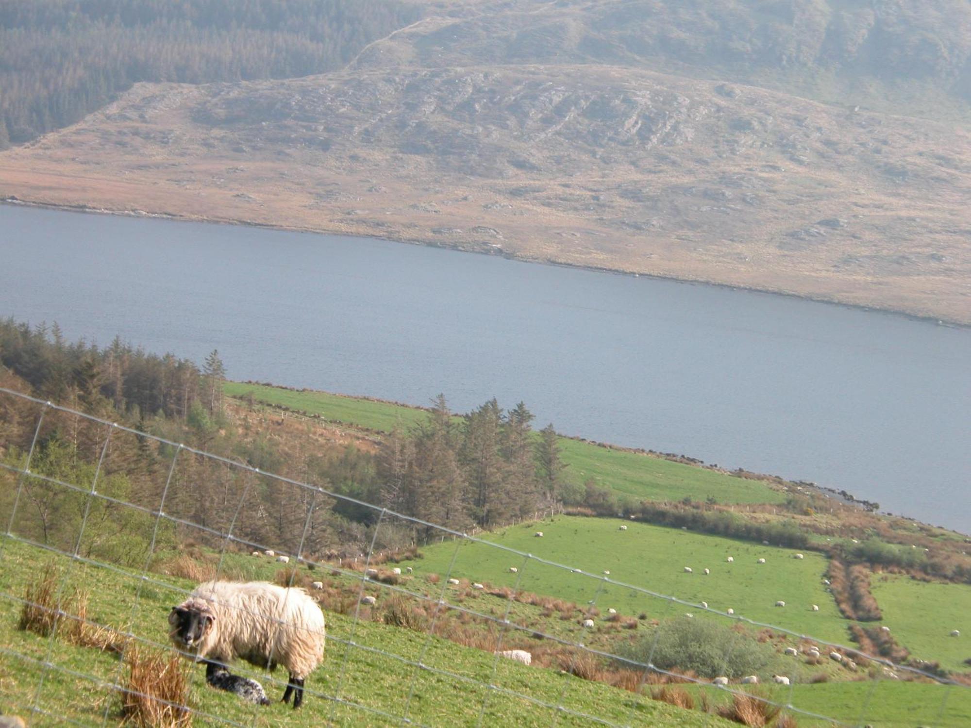 Bed & Breakfast Glenderan 4*