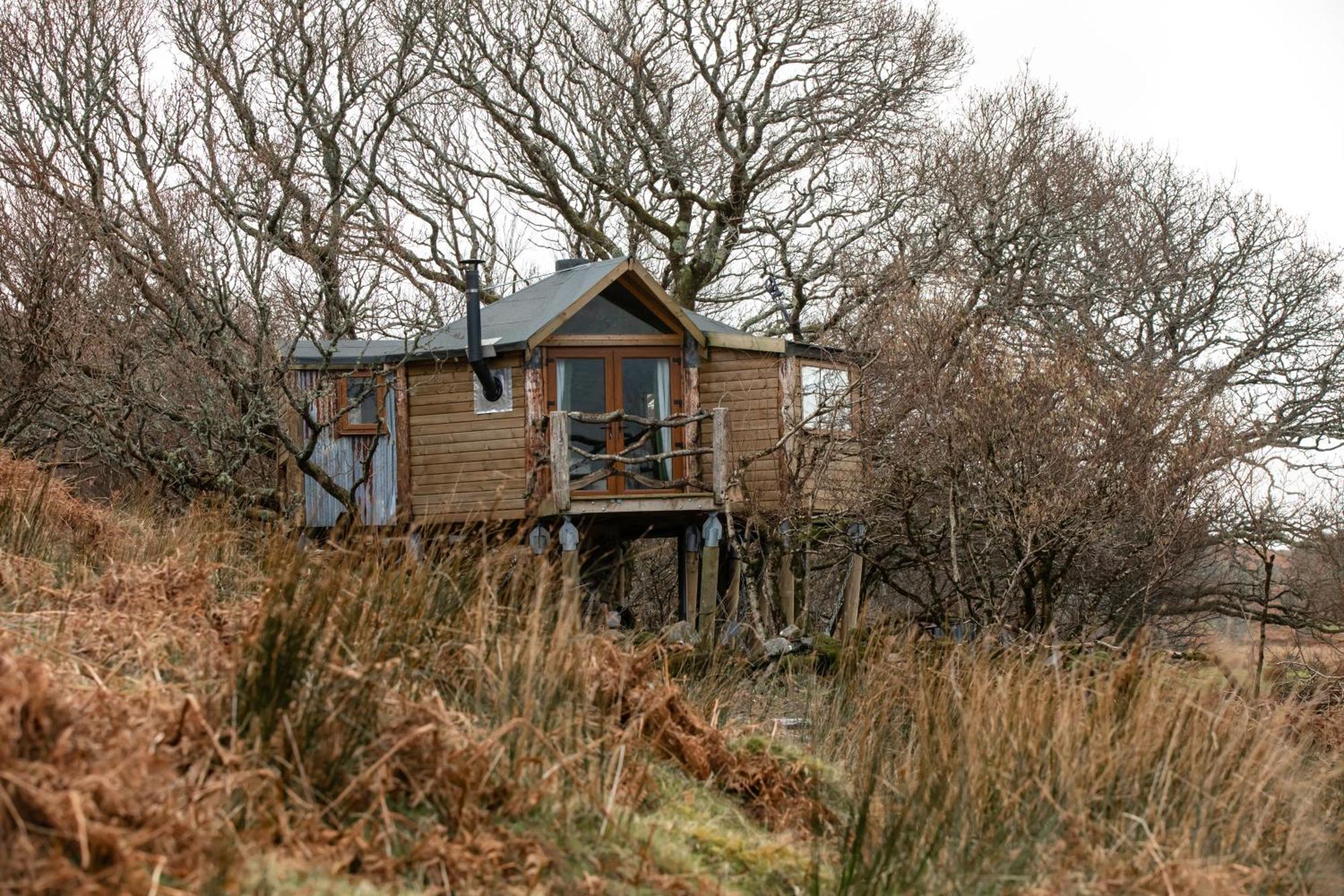 The Oak Tree House Apartment