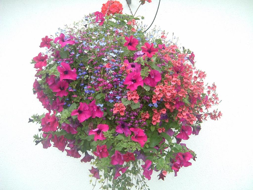 Glenderan Bed & Breakfast Westport