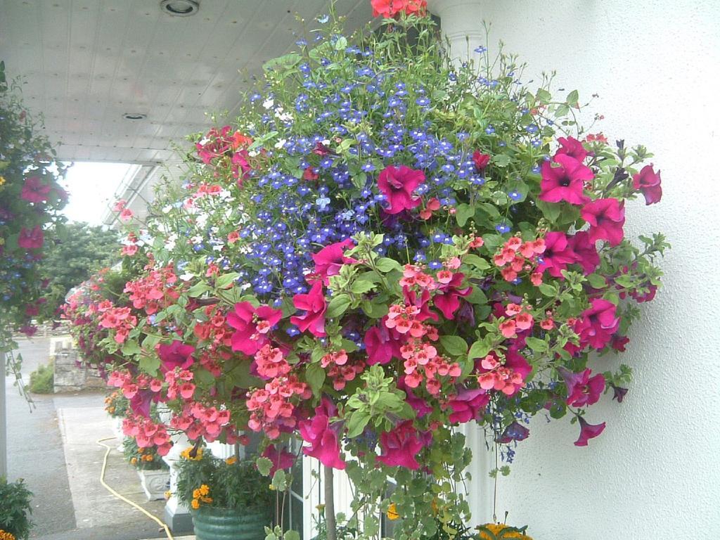 Glenderan Bed & Breakfast Westport